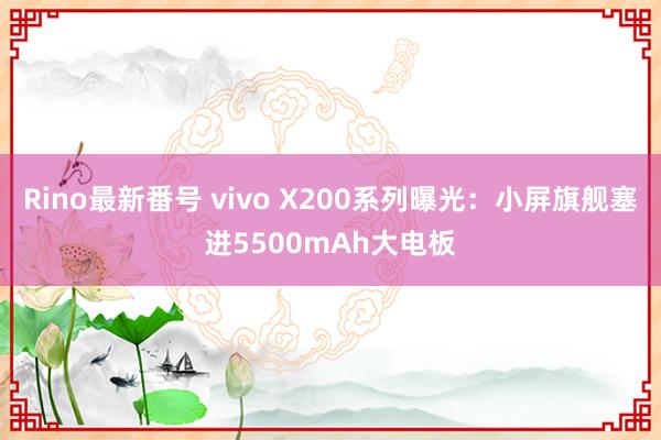 Rino最新番号 vivo X200系列曝光：小屏旗舰塞进5500mAh大电板